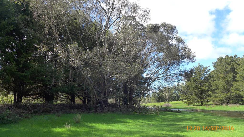 Helen'S Homestead Enfield Exterior photo